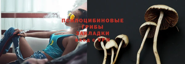 хмурый Белоозёрский