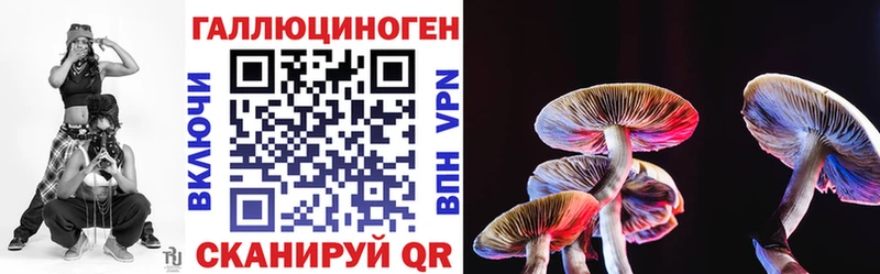 Купить  Березники  Галлюциногенные грибы Psilocybe 